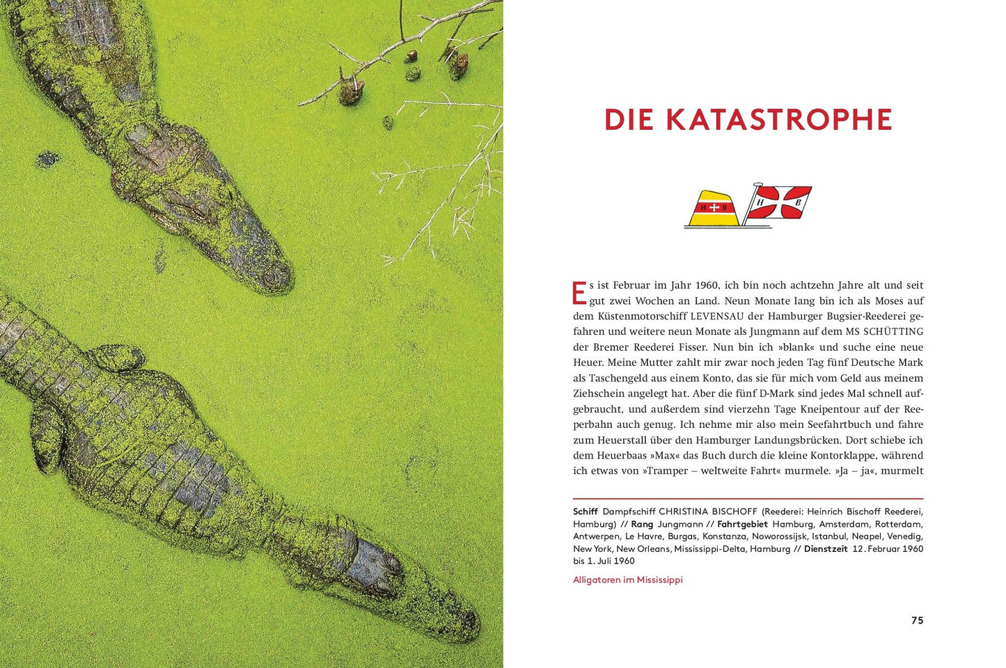 Dietmar Froböse: Wilde Jahre vor dem Mast. Vom Schiffsjungen zum Kapitän auf großer Fahrt